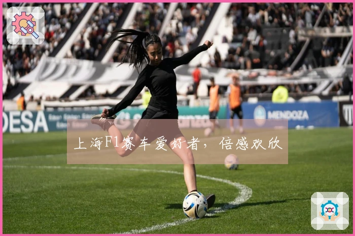 上海F1赛车爱好者，倍感欢欣
