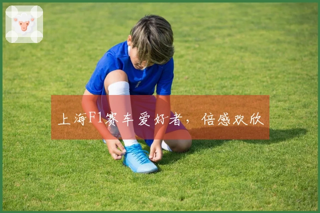 上海F1赛车爱好者，倍感欢欣